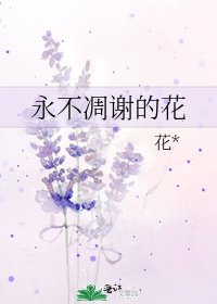 永不凋谢的花
