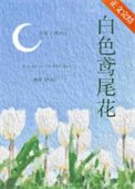 白色鳶尾花